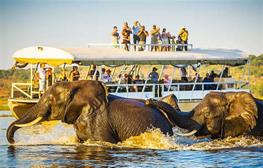 Chobe Safari Day Trip gallery photo 11