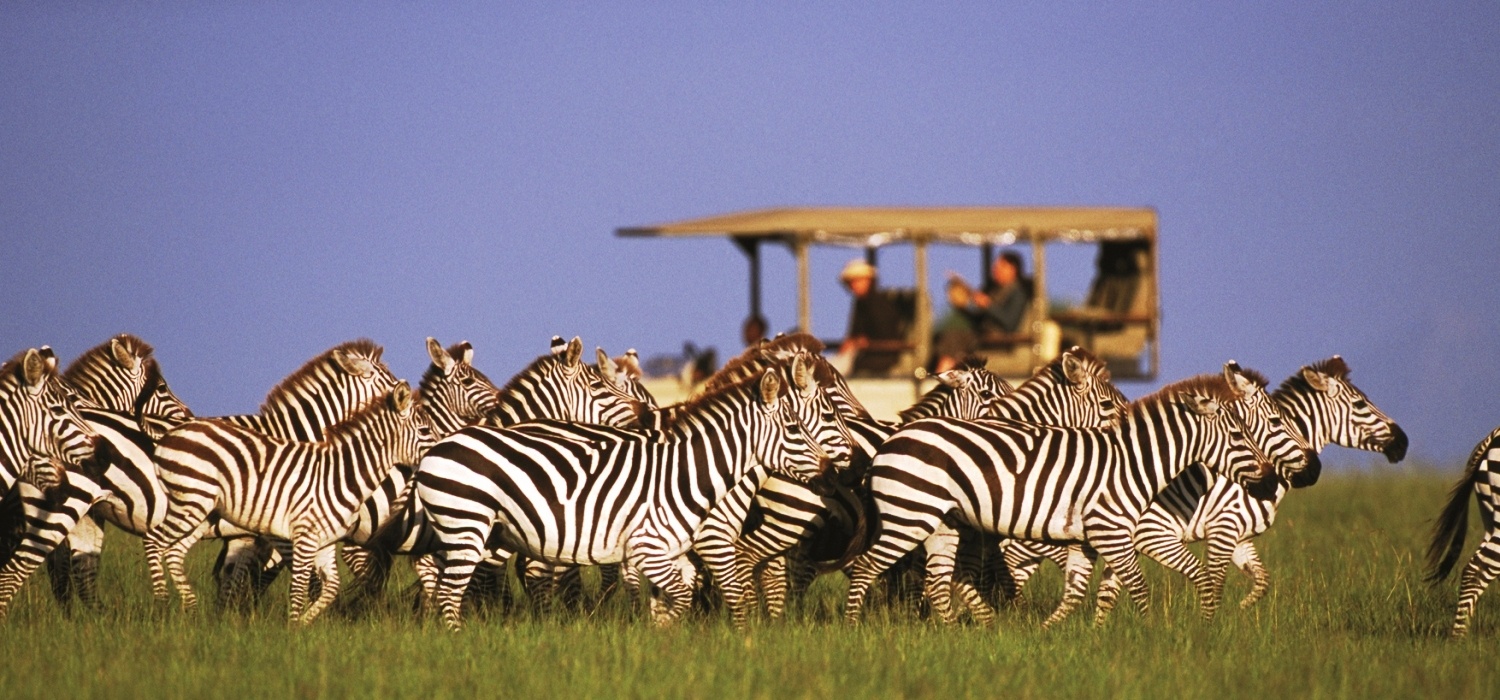Chobe Safari Day Trip gallery image 2