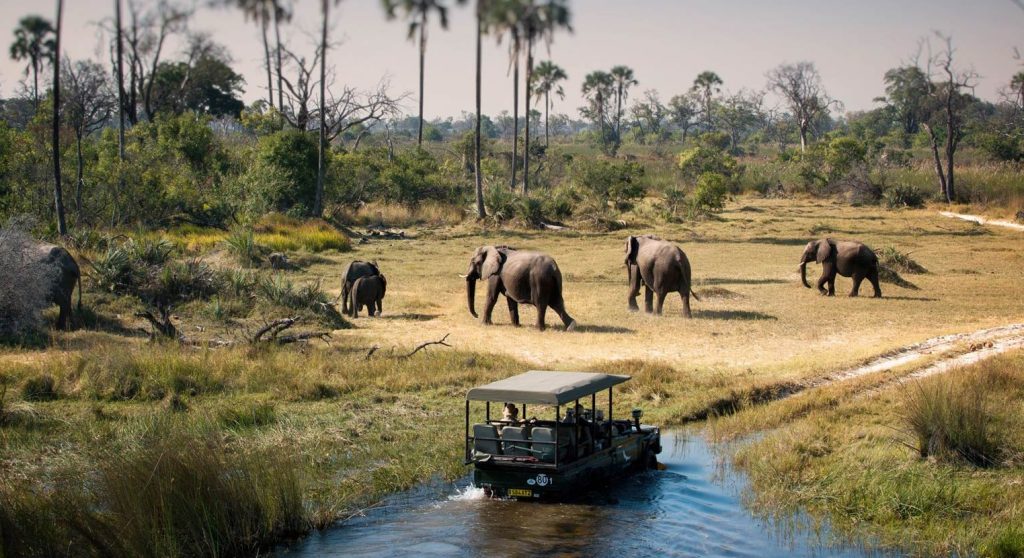 Chobe Safari Day Trip gallery photo 3