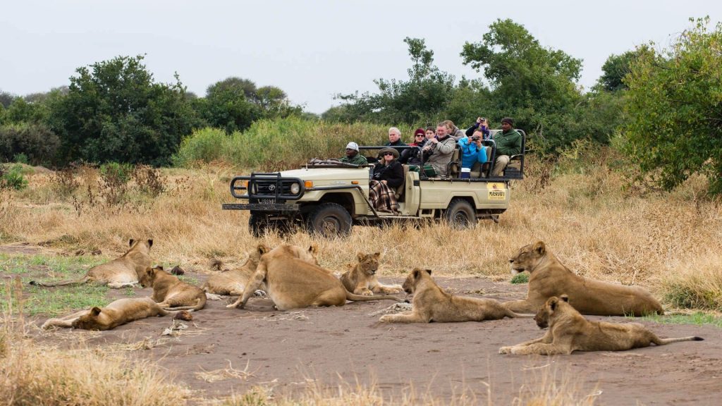 Chobe Safari Day Trip gallery photo 2
