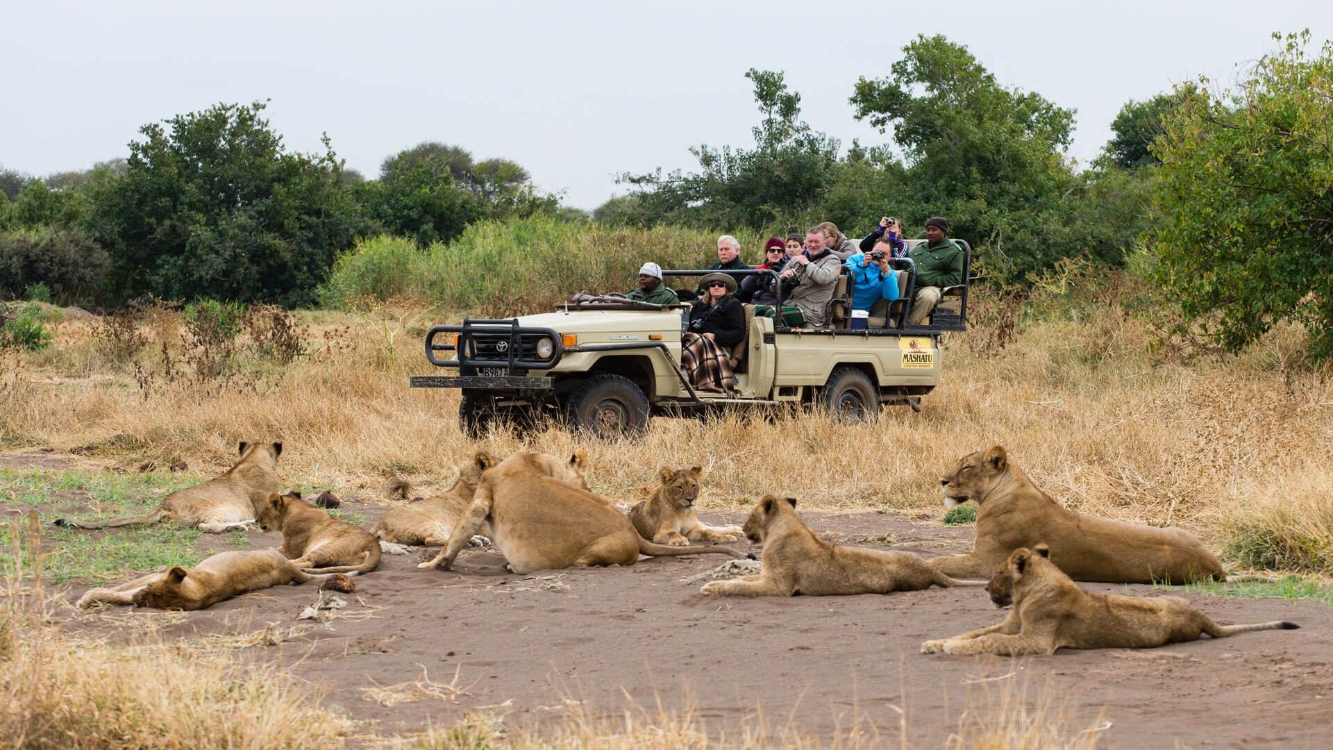 Guests enjoying a Chobe safari experience in Botswana