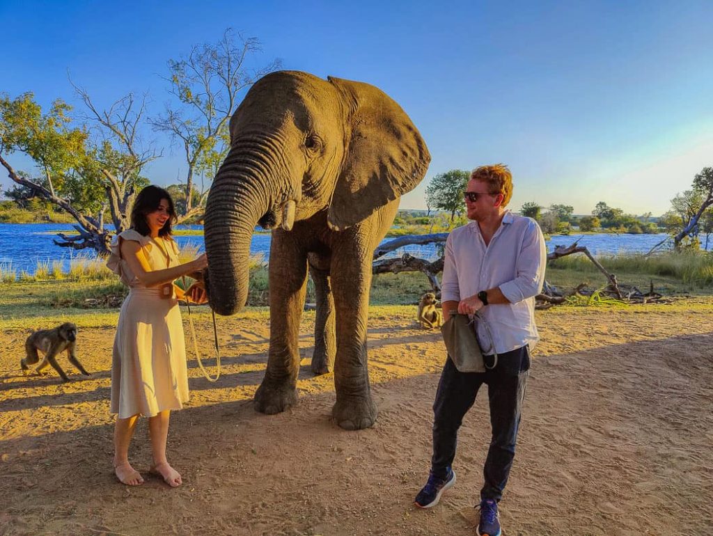 Elephant Café Lunch Experience