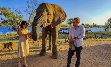 Elephant Café Lunch Experience