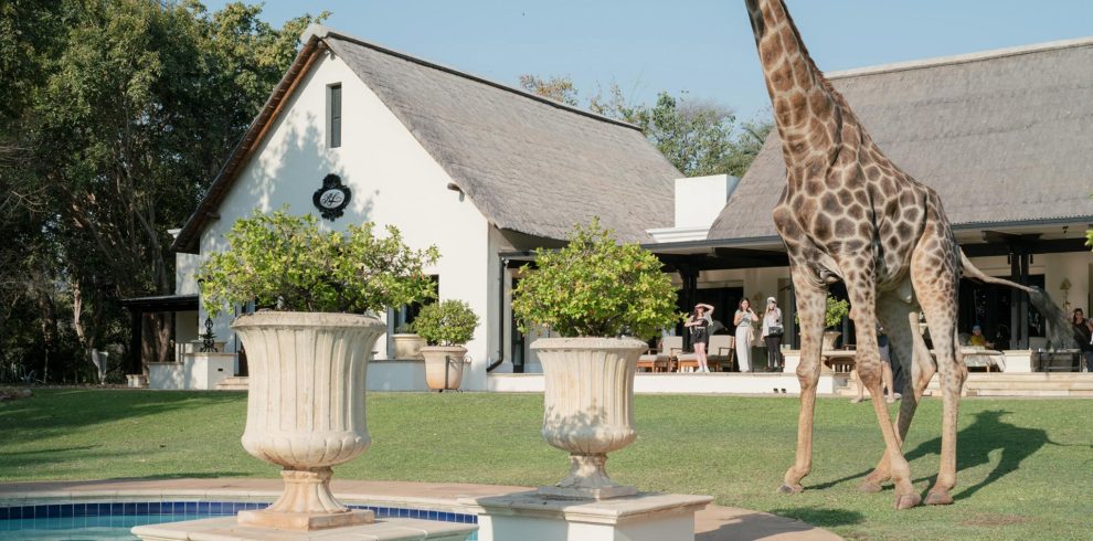 The-Royal-Livingstone-Victoria-Falls-Zambia-Hotel-01