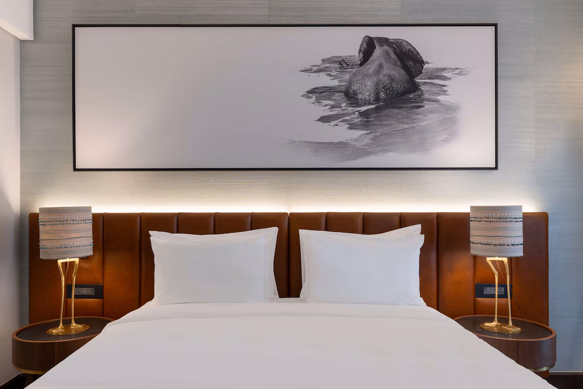 Premium Room photo 3