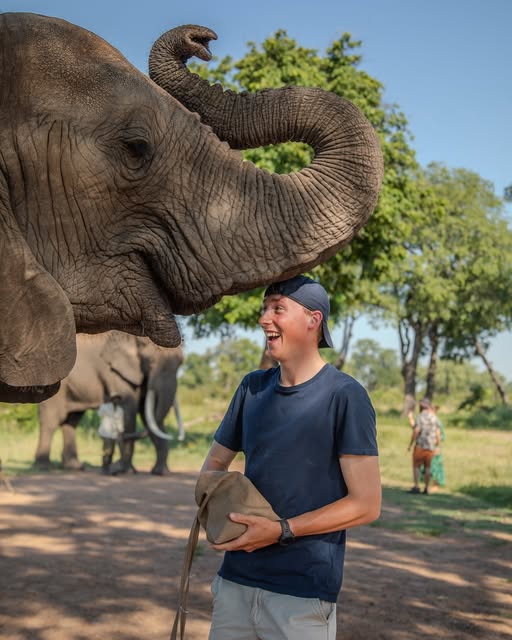 Elephant encounter during The Elephant Café experience
