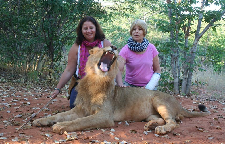 Lion Walking Safari gallery photo 10