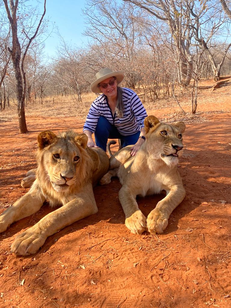 Lion Walking Safari gallery photo 9
