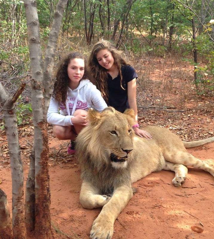 Lion Walking Safari gallery photo 8