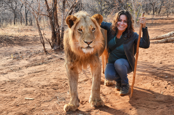Lion Walking Safari gallery photo 7