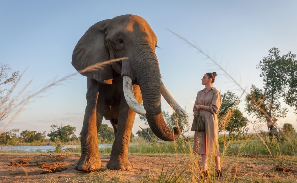 Elephant Café Lunch Experience gallery photo 14