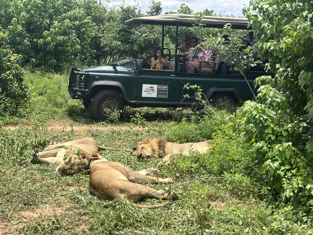 Chobe Safari Day Trip gallery photo 15