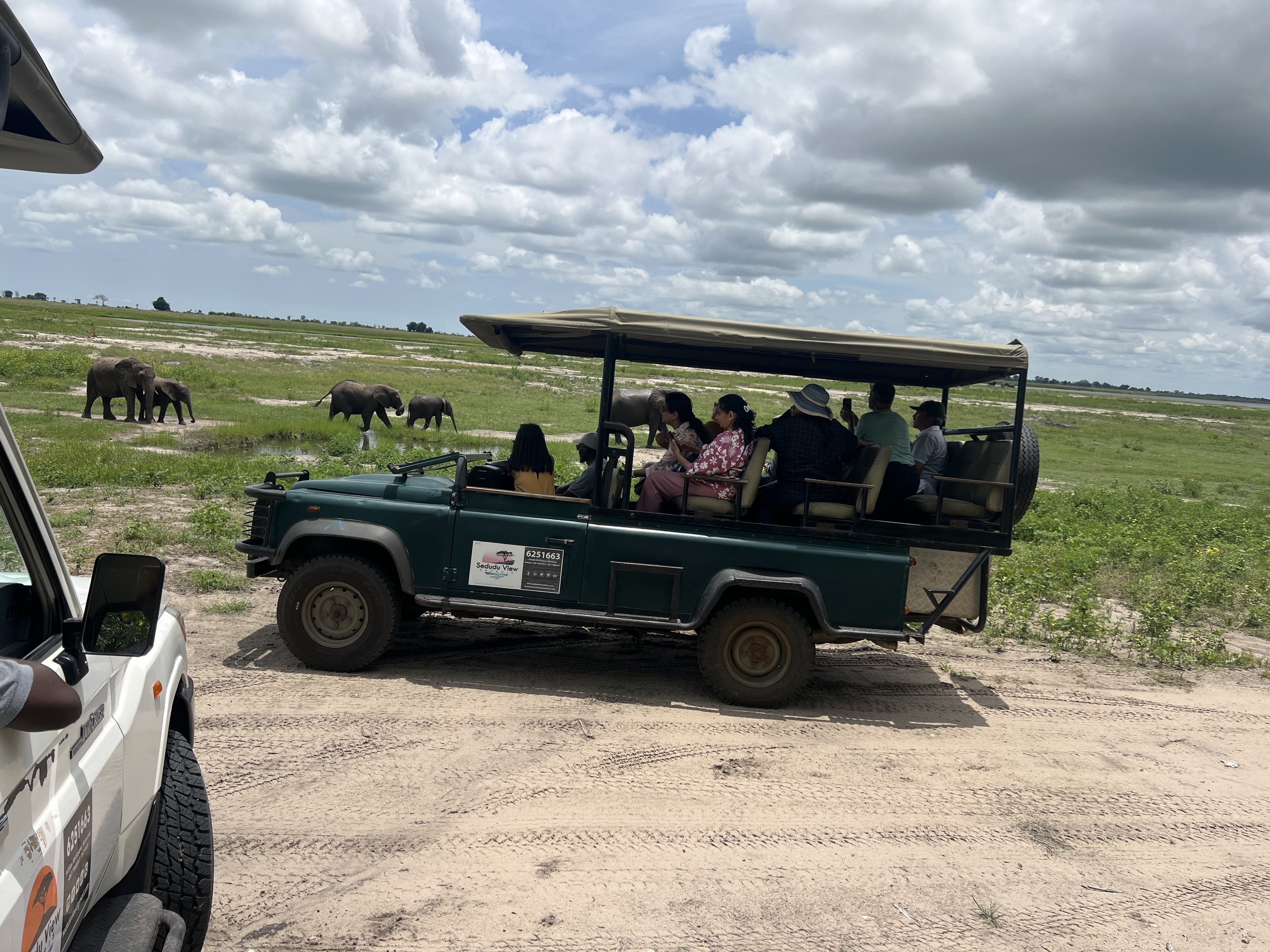 Chobe Safari Day Trip gallery image 6