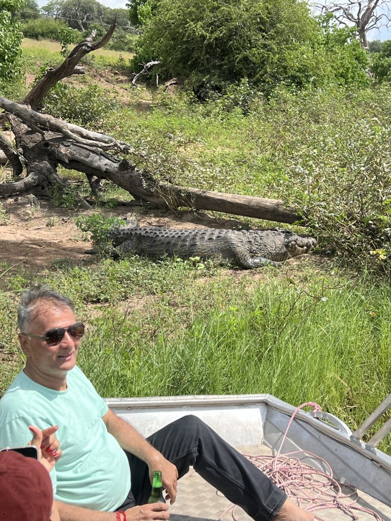 Chobe Safari Day Trip gallery photo 16