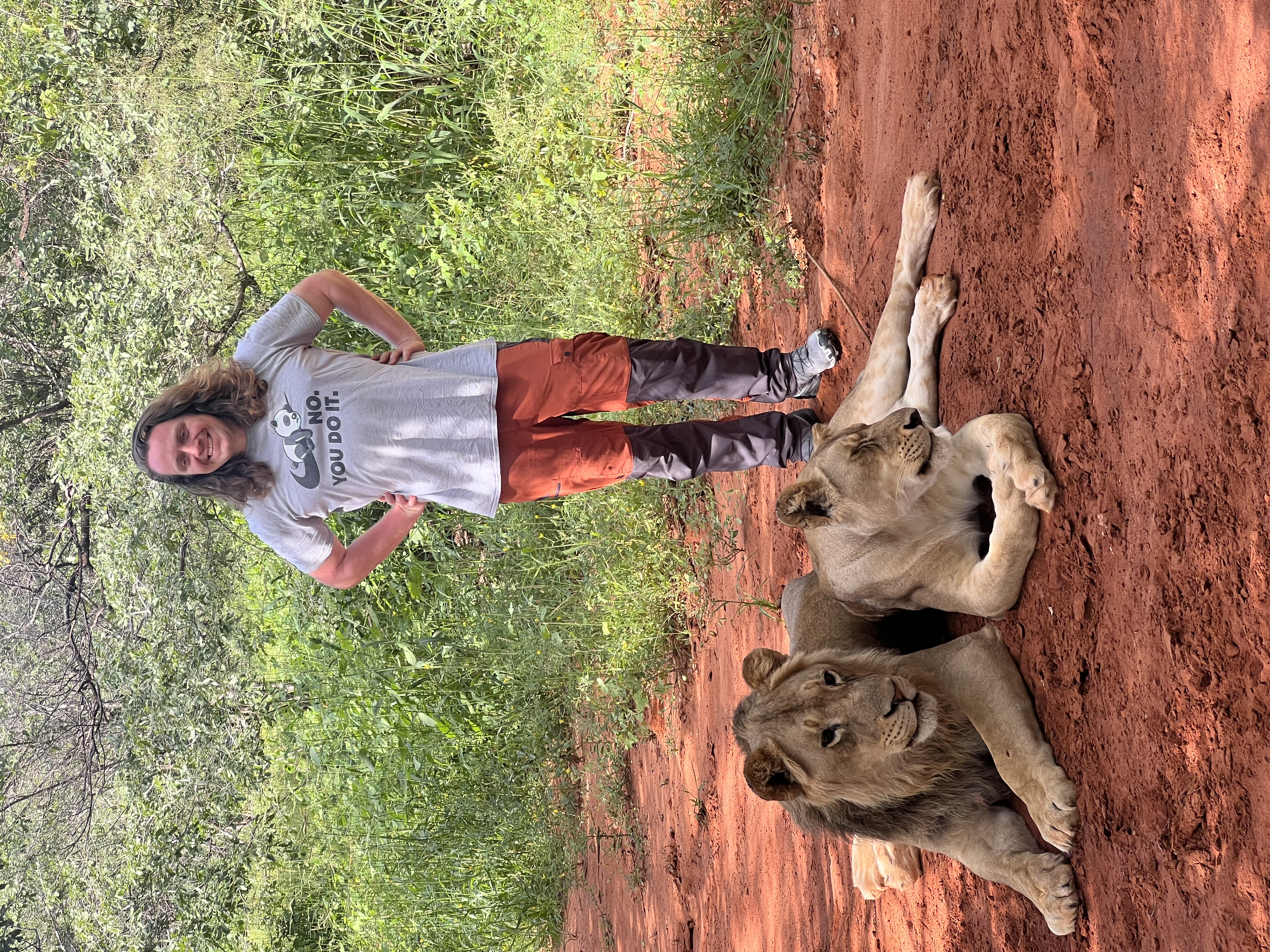 Lion Walking Safari gallery photo 28