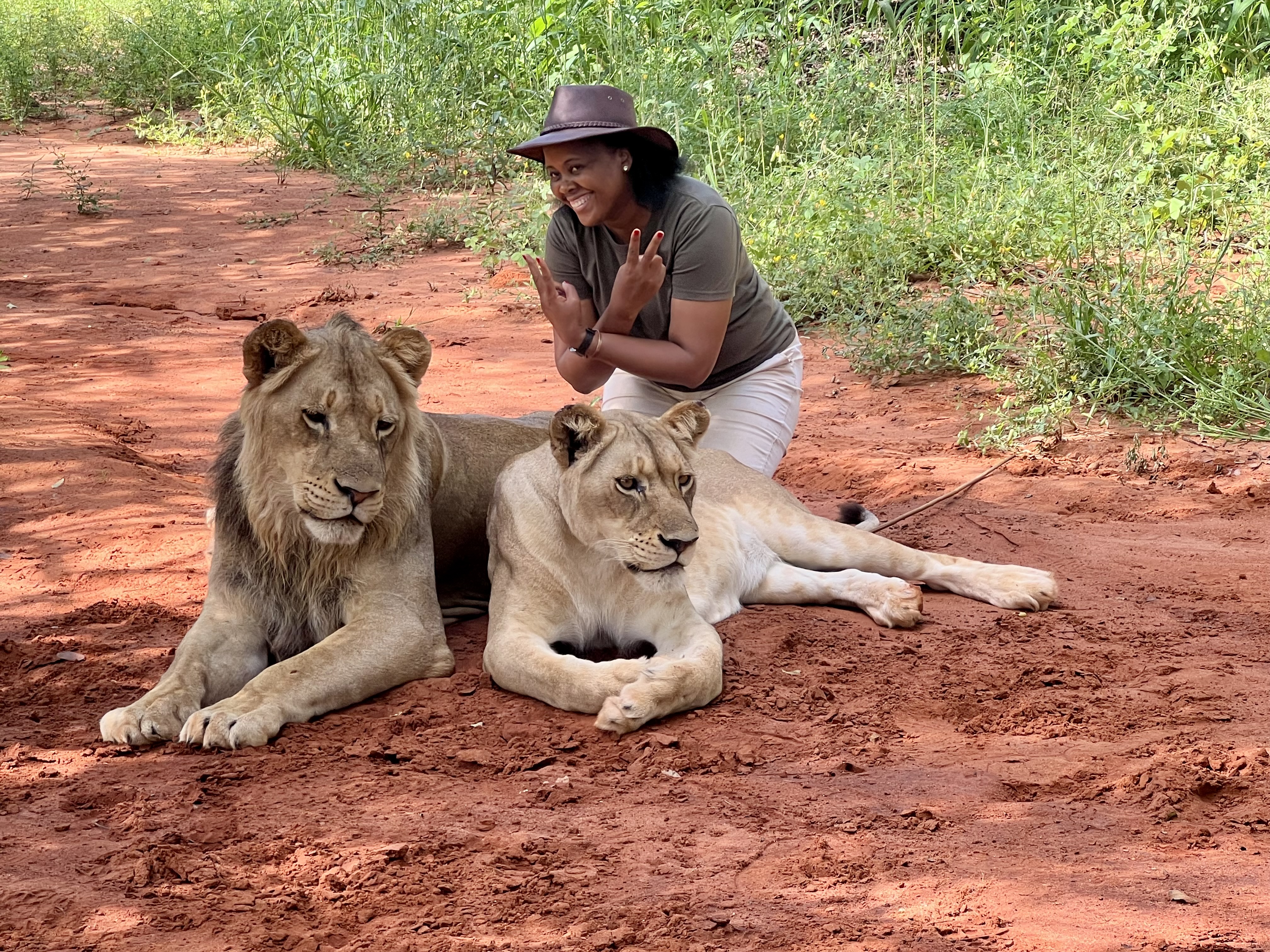 Lion Walking Safari gallery photo 27