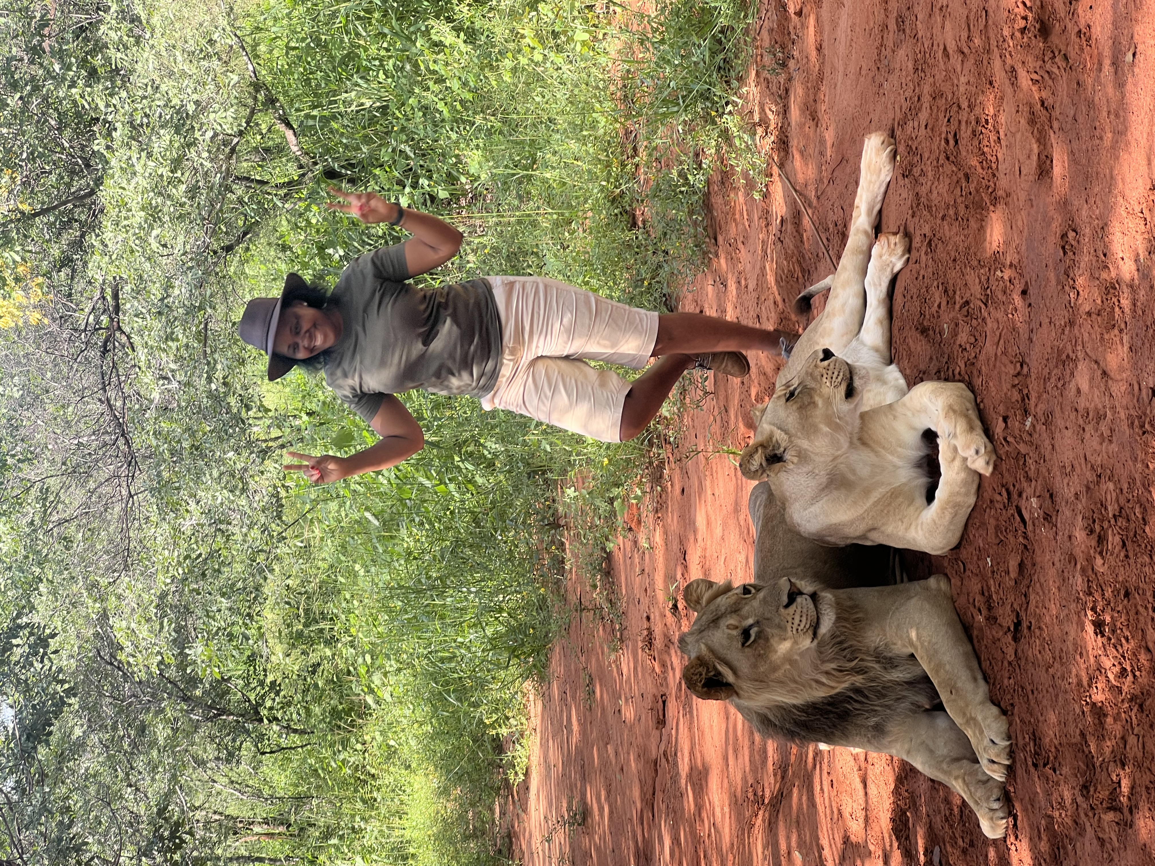 Lion Walking Safari gallery photo 26