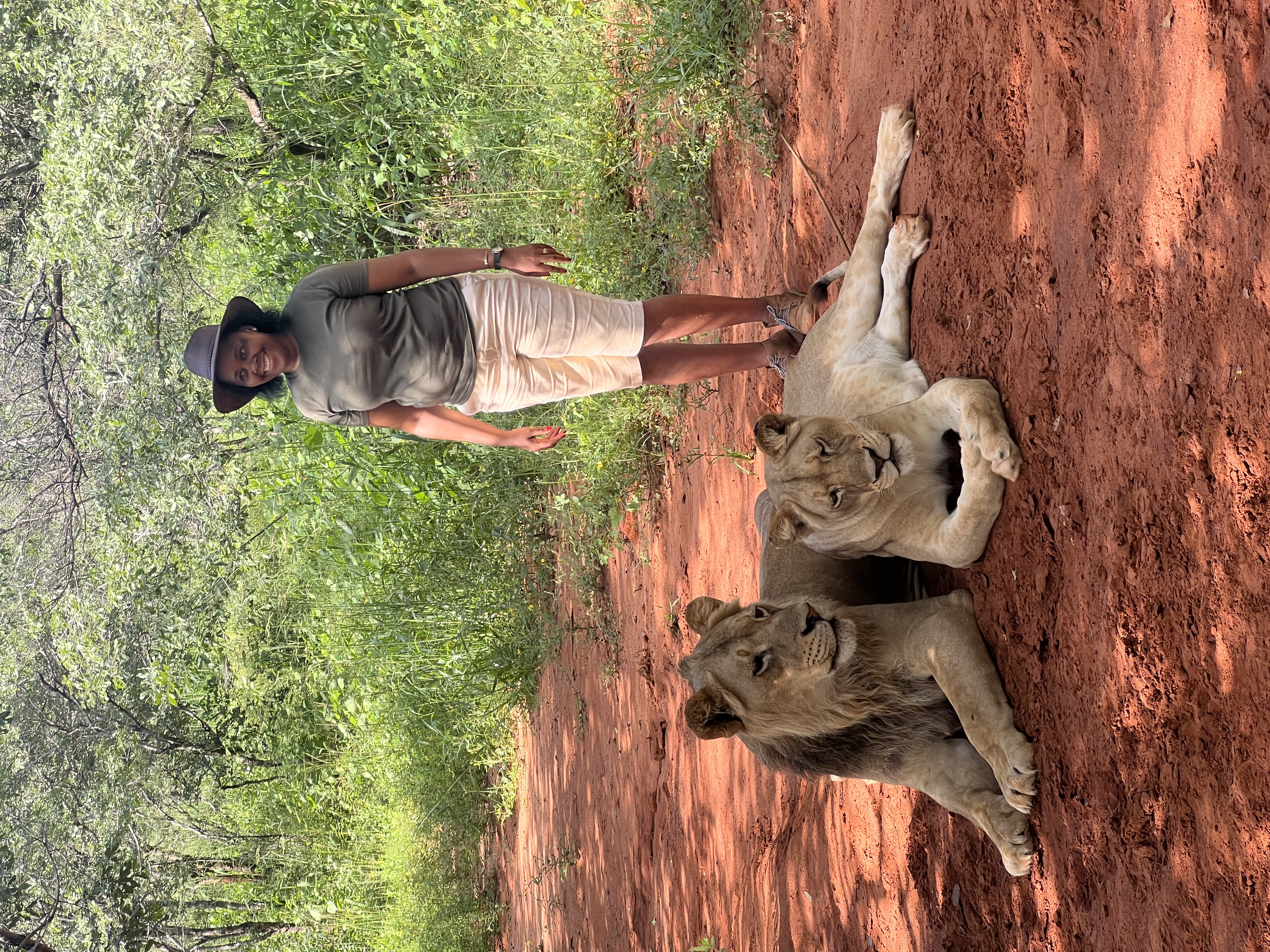 Lion Walking Safari gallery photo 25