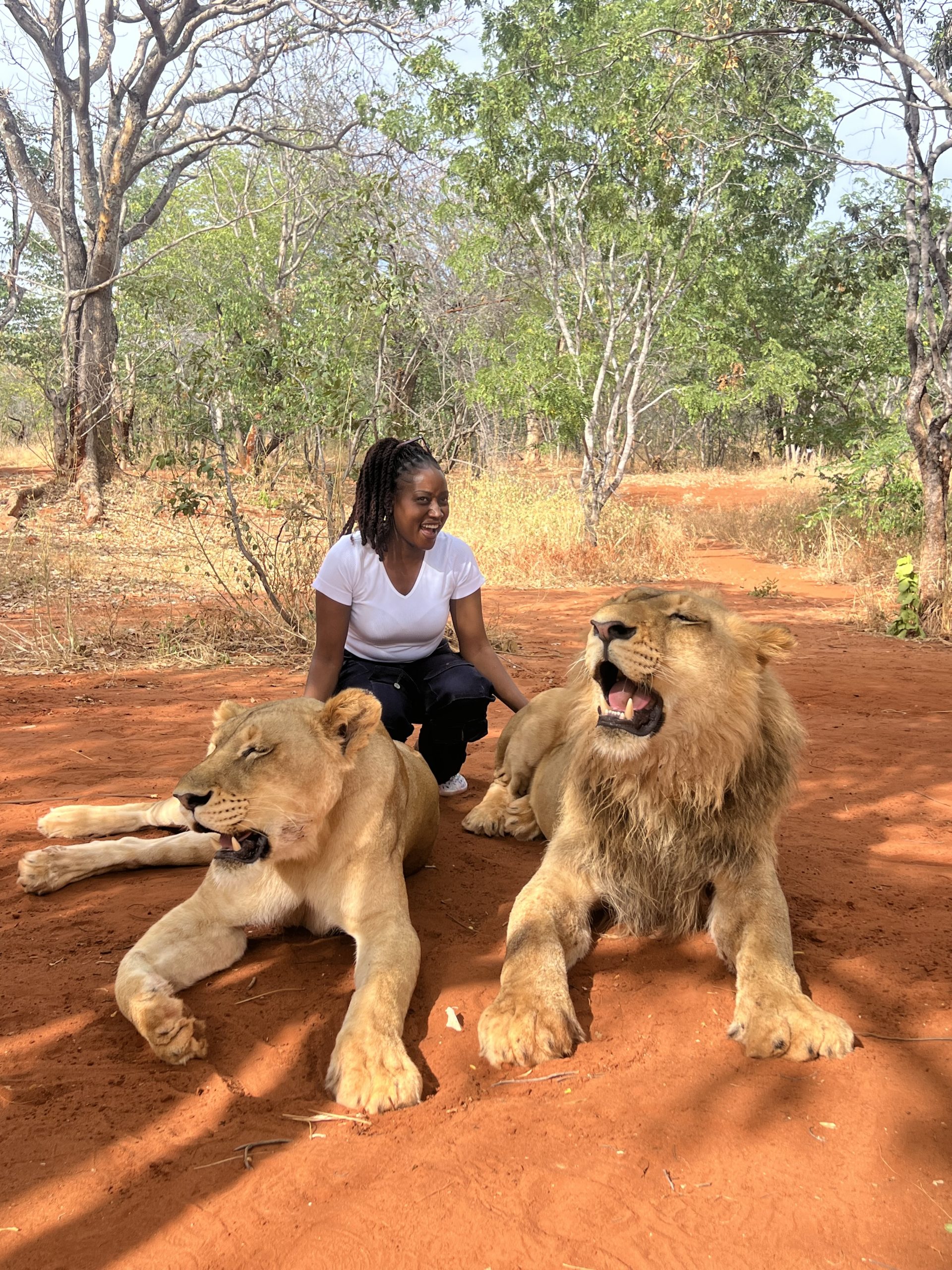 Things to Do in Livingstone in 2026: What to Book & What’s Worth it