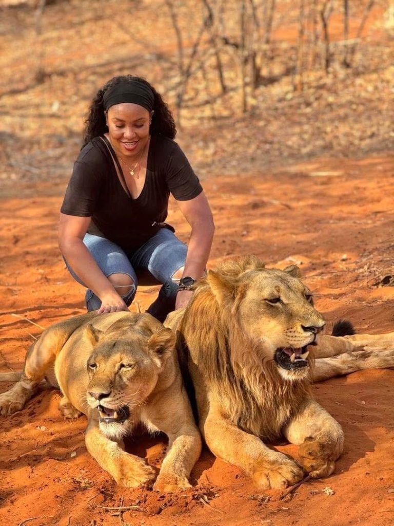 Lion Walking Safari gallery photo 31