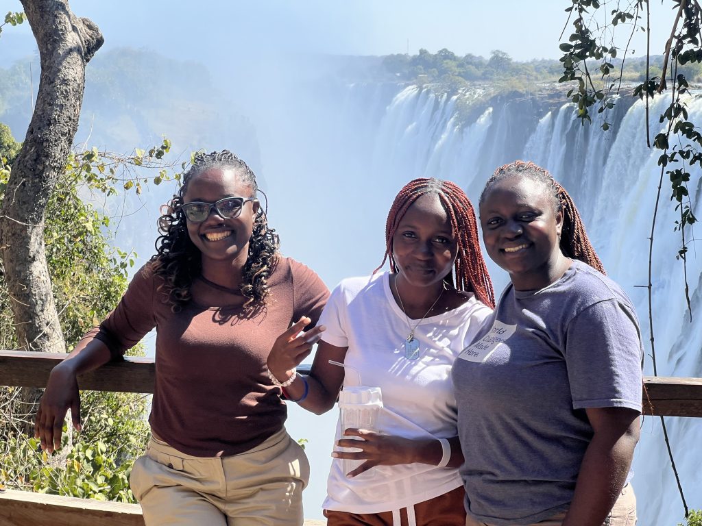 Victoria Falls Guided Tour – Zambia gallery photo 9