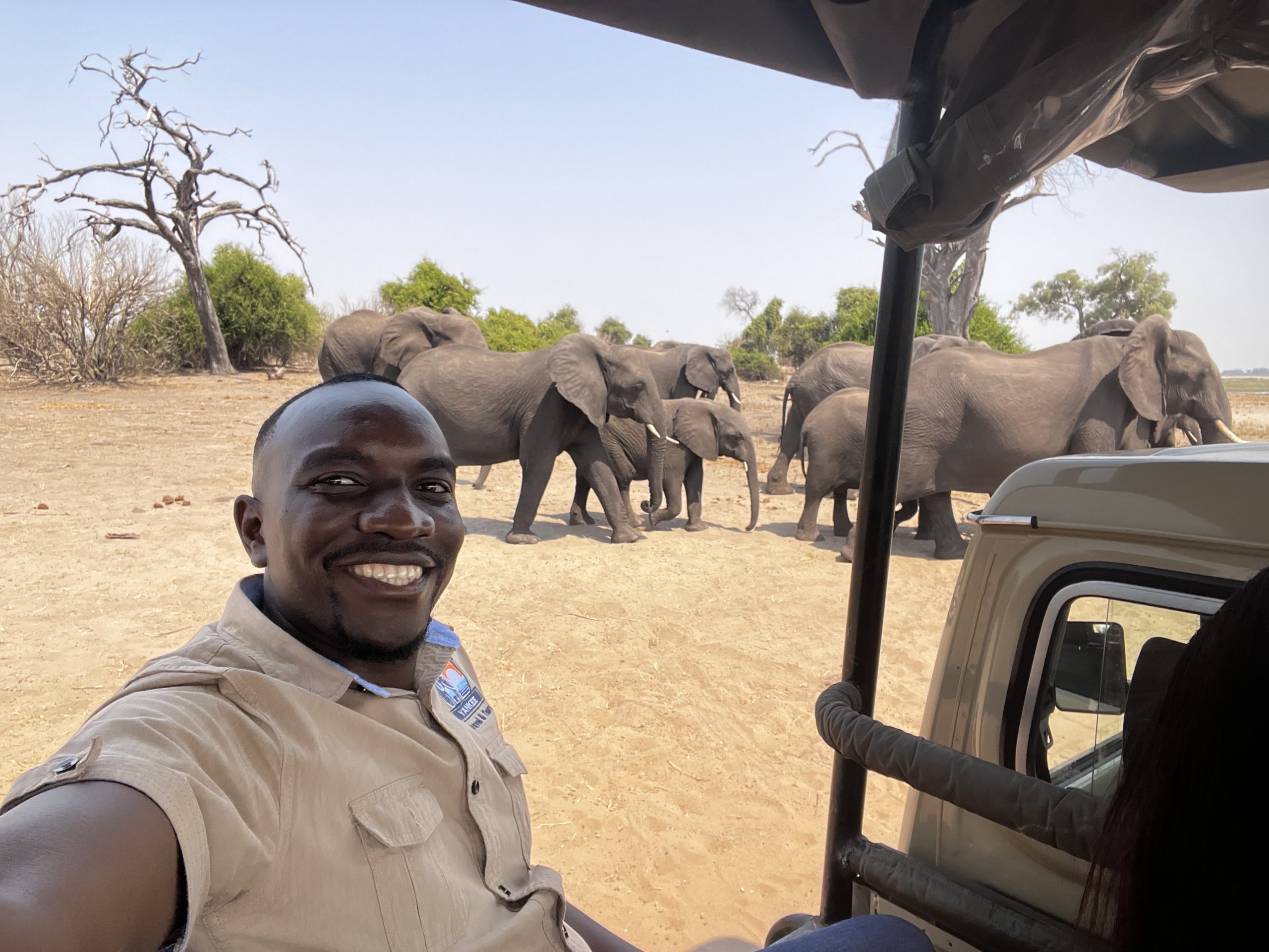 Chobe Safari Day Trip
