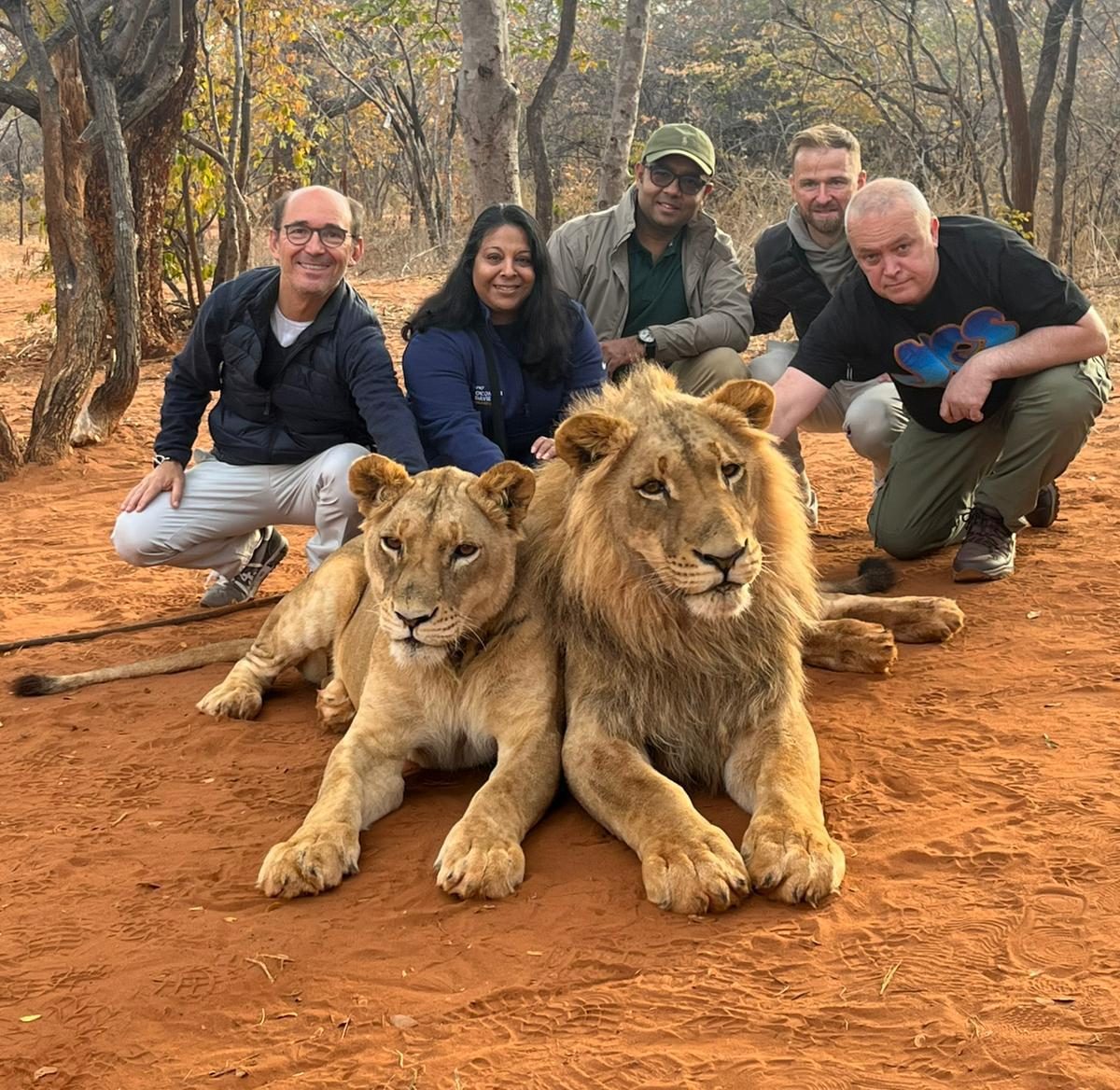 Lion Walking Safari photo 3