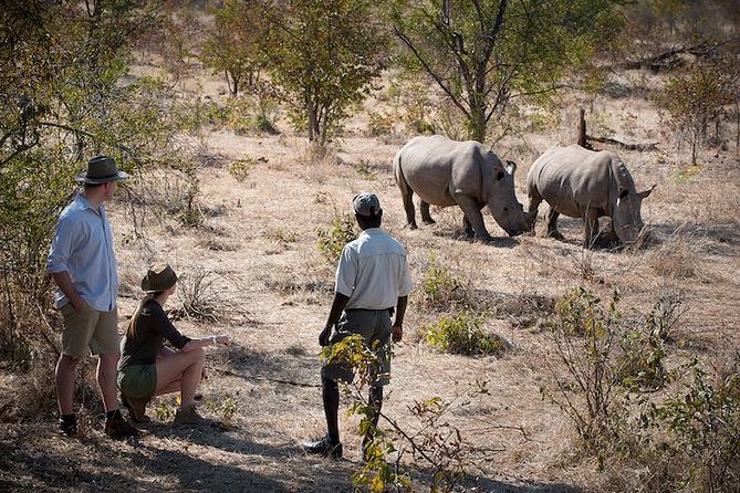 Safari Game Drive and Rhino Walk gallery image 6