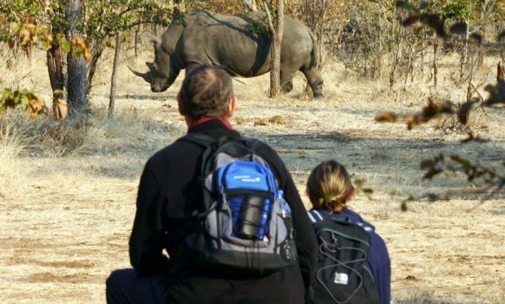 Safari Game Drive and Rhino Walk gallery image 2