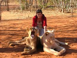 Lion Walking Safari gallery photo 5