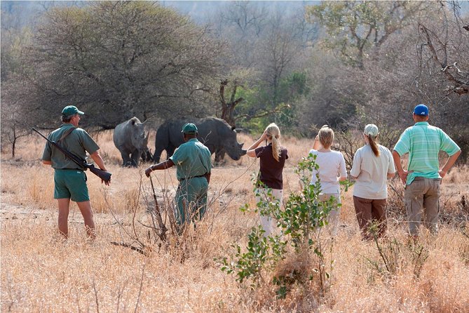 Safari Game Drive and Rhino Walk gallery photo 15