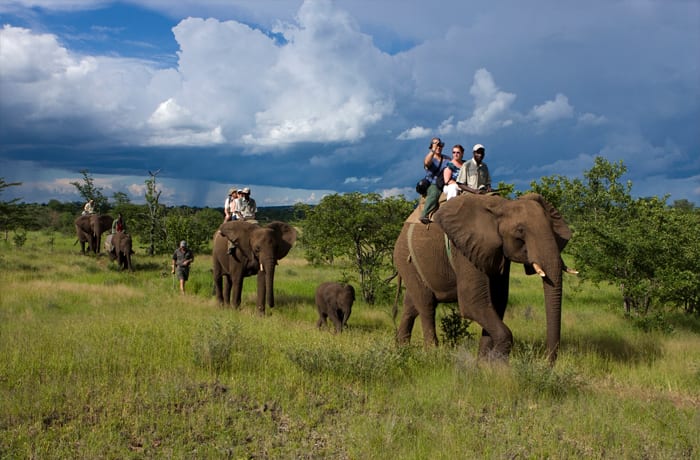 Elephant Café Lunch Experience gallery photo 12