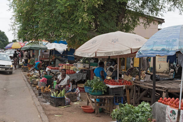 Livingstone City & Market Tour gallery photo 13