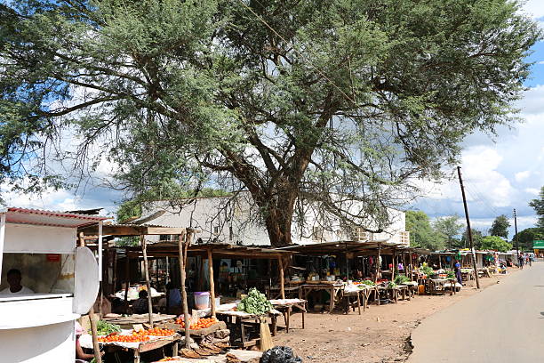Livingstone City & Market Tour gallery photo 14